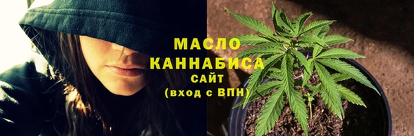 дмт Арсеньев