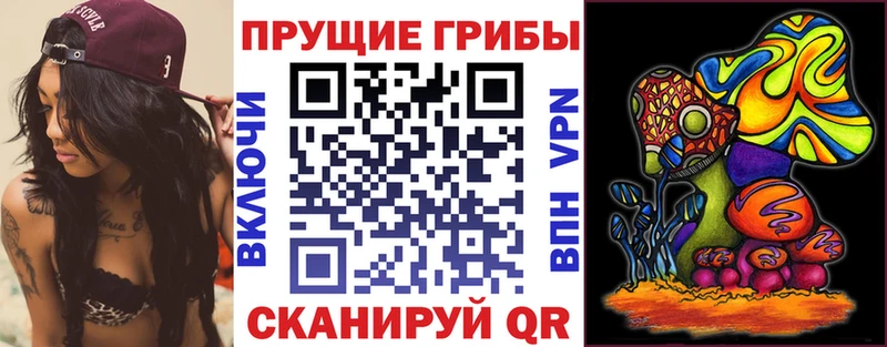 Псилоцибиновые грибы GOLDEN TEACHER Меленки